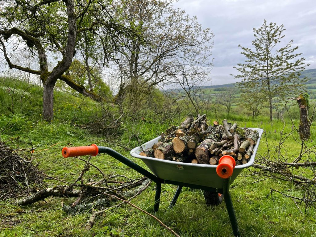 v září