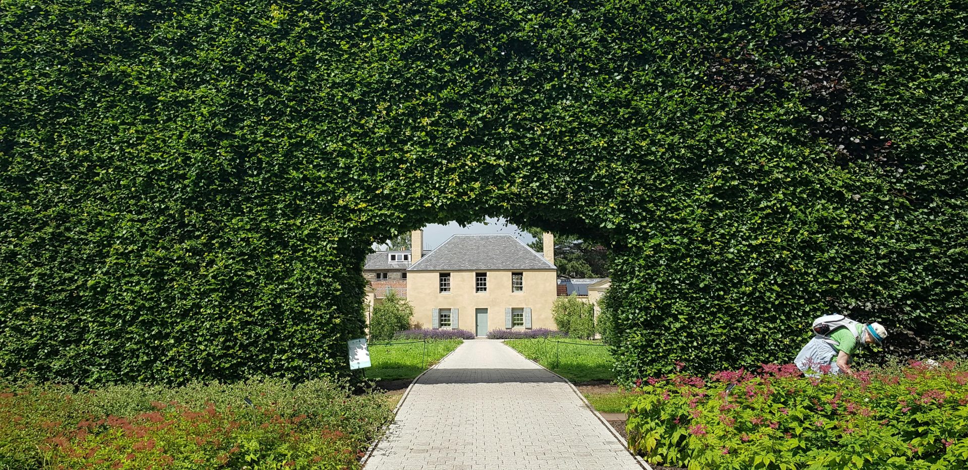 velké